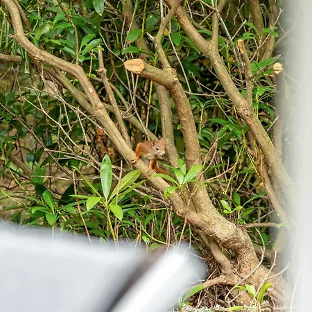 Melisa - 3km From The Sea By Interhome * Pandrup